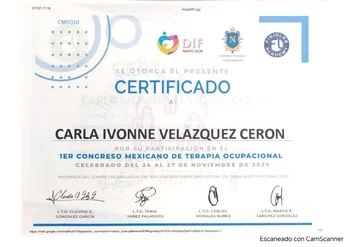 1er Congreso mexicano de Terapia Ocuoacional