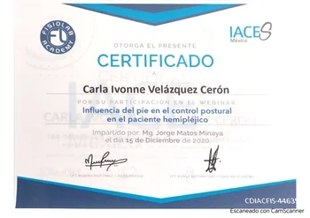 Influencia del pie en el Control postura en el paciente Hemiplejico