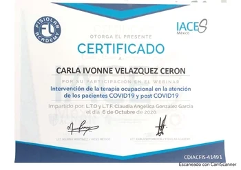 Intervención de la Terapia Ocupacional en la atención de los pacientes Covid 19 y post Covid 19