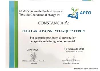 Perspectivas de Integración sensorial