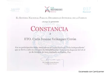 Vida independiente